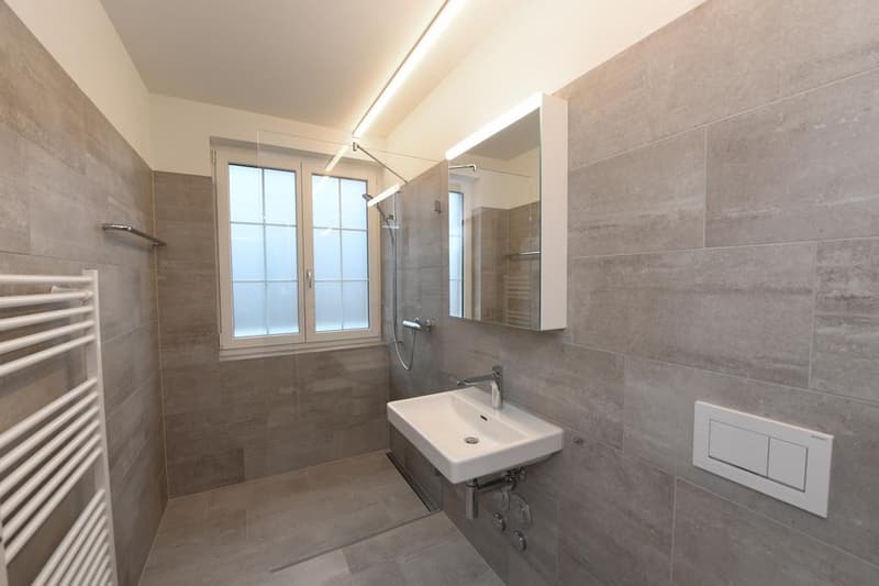 Appartement 3.5 pièces avec vue sur le verdoyant (7)