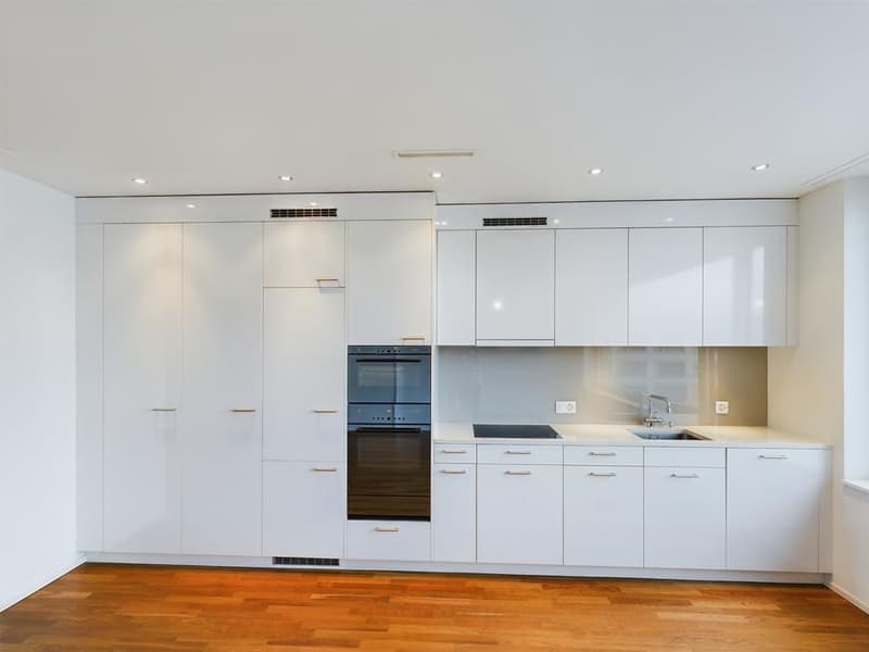 Stylish living in an excellently connected location (5)