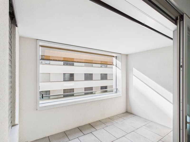 Stylish living in an excellently connected location (8)