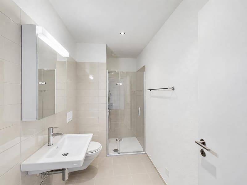 Stylish living in an excellently connected location (6)