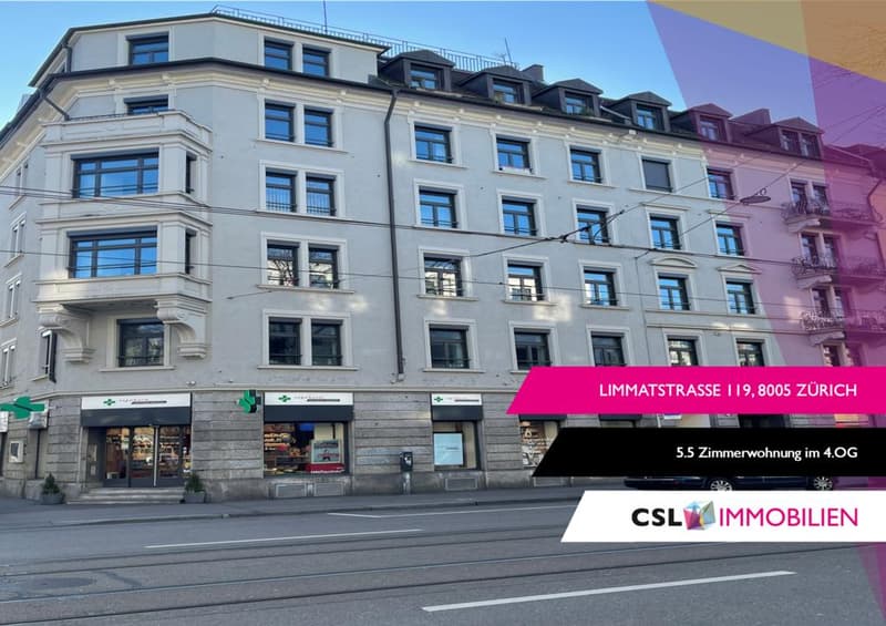 Charmant appartement 5.5 pièces sur Limmatplatz (1)