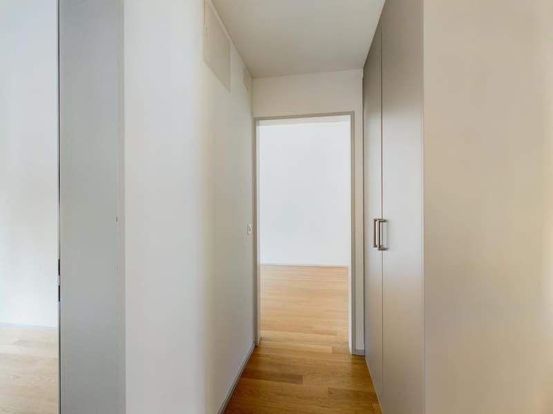 Charmant appartement 5.5 pièces sur Limmatplatz (3)