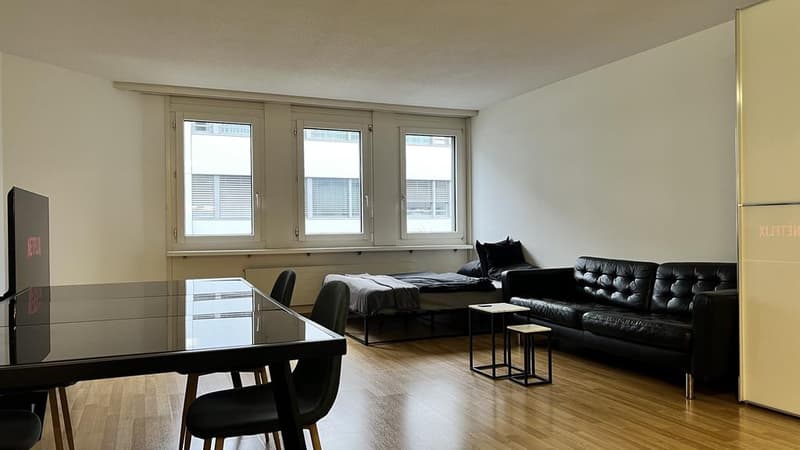 Appartement 1.5 pièces au cœur de Zurich (5)