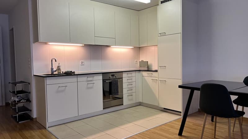 Appartement 1.5 pièces au cœur de Zurich (2)