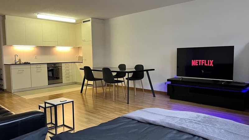 Appartement 1.5 pièces au cœur de Zurich (6)