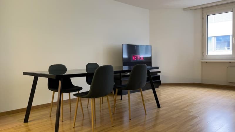 Appartement 1.5 pièces au cœur de Zurich (4)