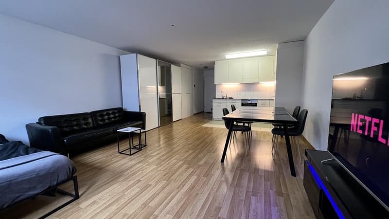 Appartement 1.5 pièces au cœur de Zurich (3)