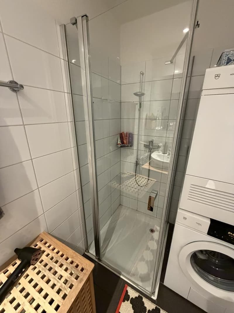 Appartement 4.5 pièces In der Looren 58, 8053 Zurich (5)