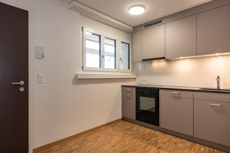 Appartement moderne de 2,5 pièces dans le quartier de Zürich-Oerlikon, vie urbaine avec style (3)