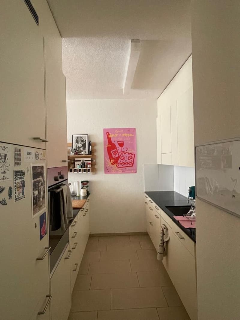 Ampio appartamento di 3.5 locali nel cuore di Zurigo (4)