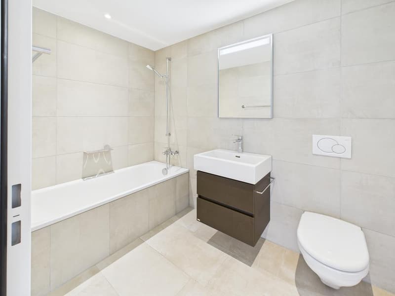 Appartamento attraente di 2,5 locali a Zürich-Altstetten (3)