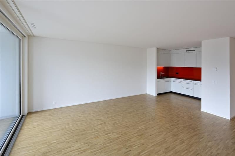 Appartamento attraente di 2,5 locali a Zürich-Altstetten (4)