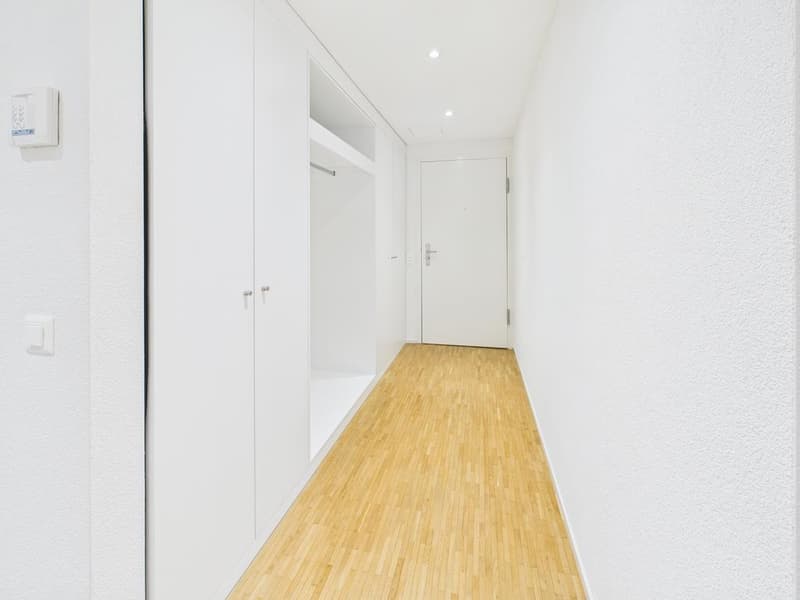 Appartamento attraente di 2,5 locali a Zürich-Altstetten (2)