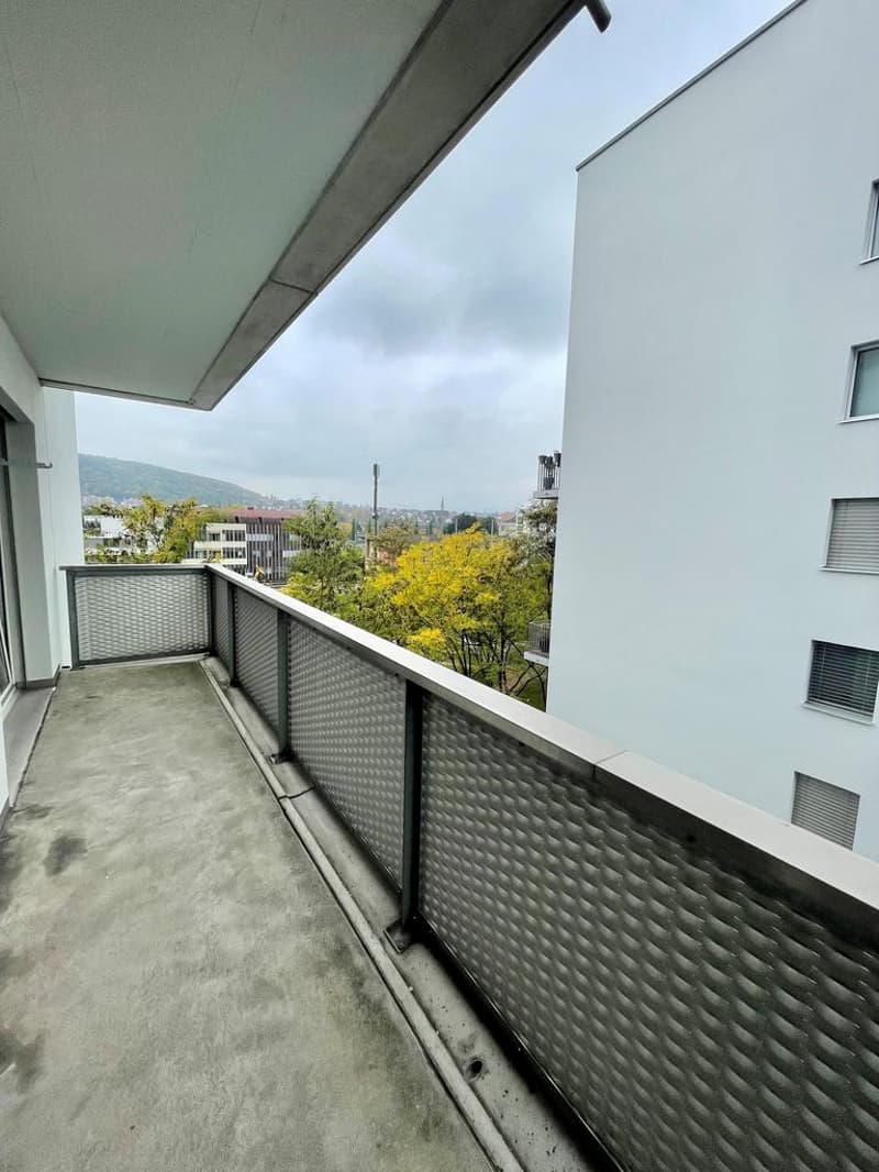 5.5 room apartment in the heart of Oerlikon (8)