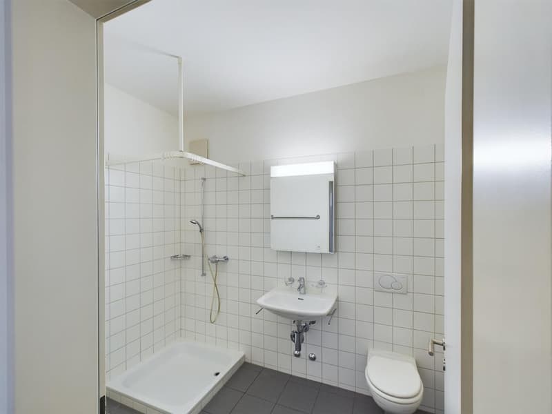 5.5 room apartment in the heart of Oerlikon (5)