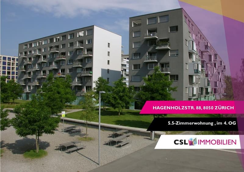 5.5 room apartment in the heart of Oerlikon (1)
