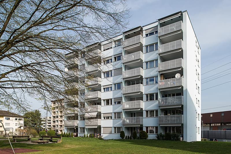 Appartamento di 3,5 locali nel cuore di Schwerzenbach (1)