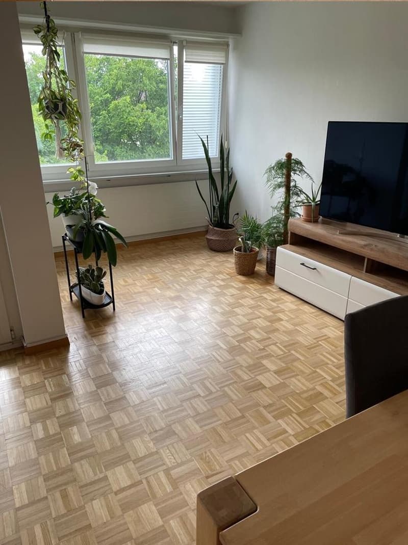 Appartamento di 3,5 locali nel cuore di Schwerzenbach (2)