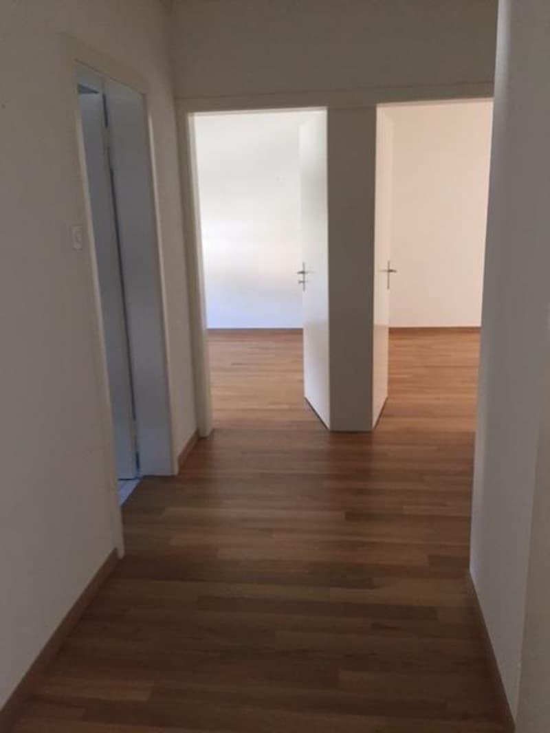 3-room apartment in central location in Zurich (3)
