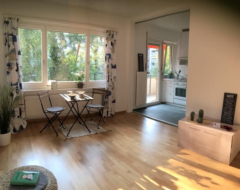 Helle 2 Zimmerwohnung mit ruhigem, sonnigen Balkon ins Grüne (3)