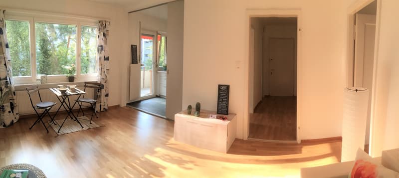 Bright 2-room apartment with quiet, sunny balcony overlooking the green (6)