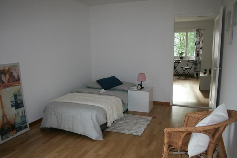 Helle 2 Zimmerwohnung mit ruhigem, sonnigen Balkon ins Grüne (5)