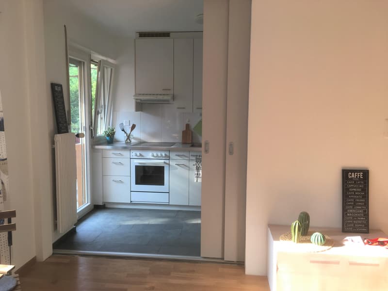 Bright 2-room apartment with quiet, sunny balcony overlooking the green (8)