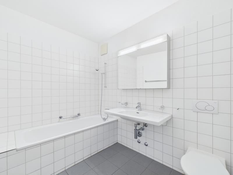 4.5 room apartment in the heart of Oerlikon (5)