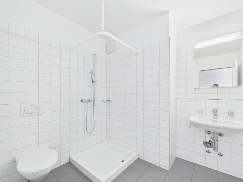 4.5 room apartment in the heart of Oerlikon (6)