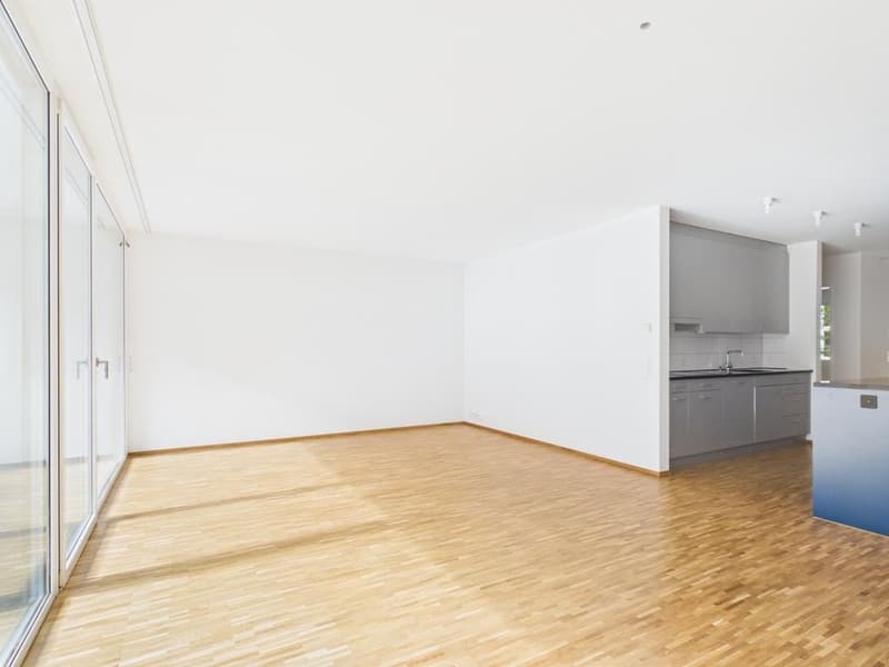 4.5 room apartment in the heart of Oerlikon (10)