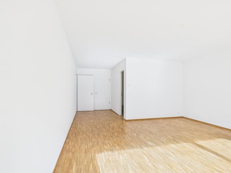 4.5 room apartment in the heart of Oerlikon (7)