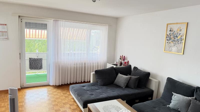 Charming 3.5 room apartment for rent (6)