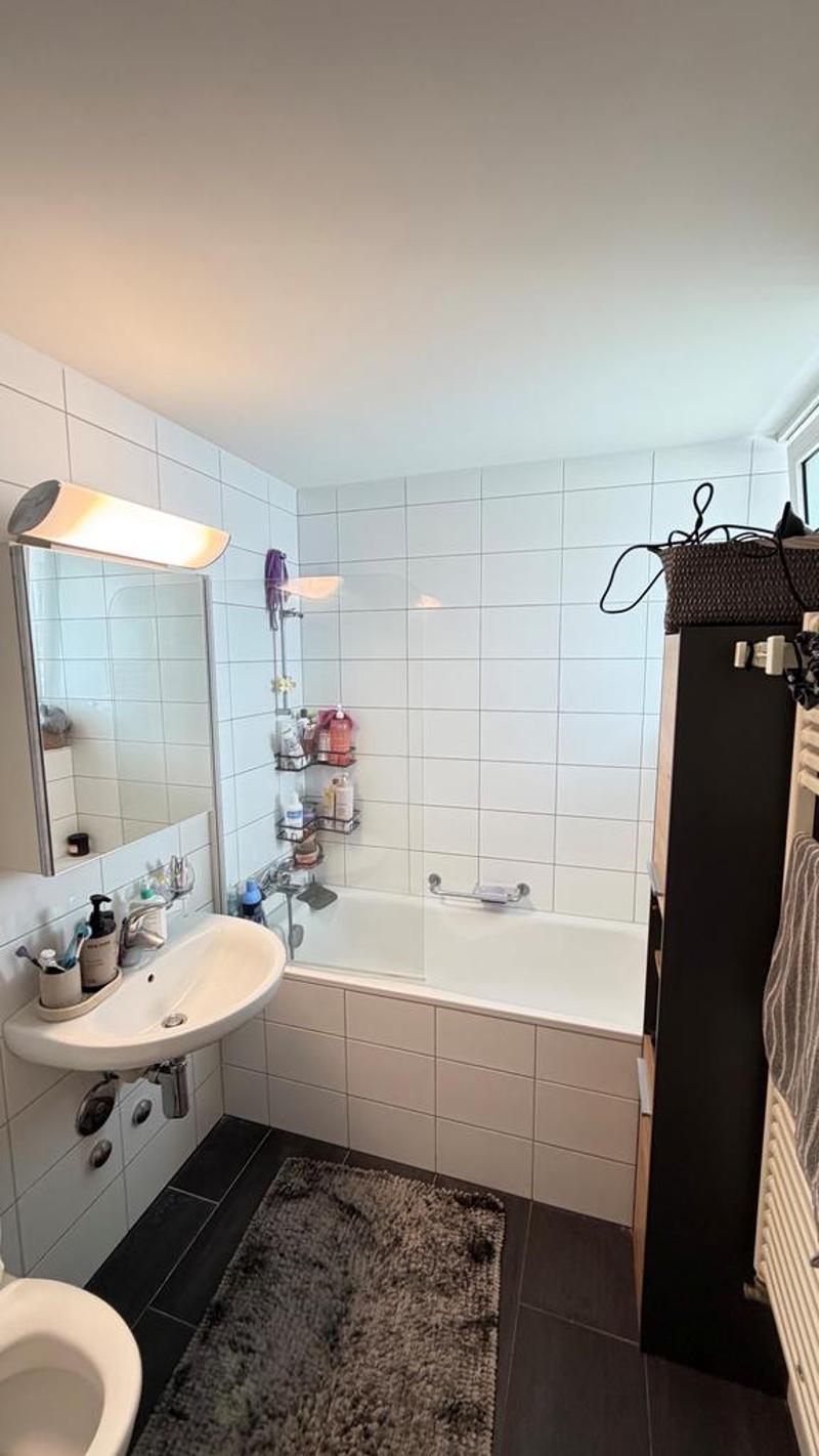 Modern 3-room apartment in Affoltern am Albis (3)