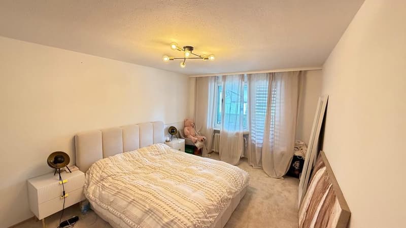 Modern 3-room apartment in Affoltern am Albis (6)