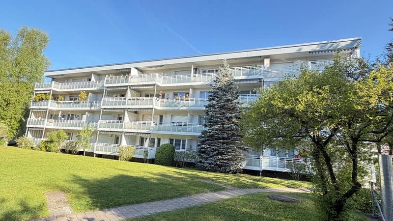 Charming 3.5 room ground floor apartment (1)