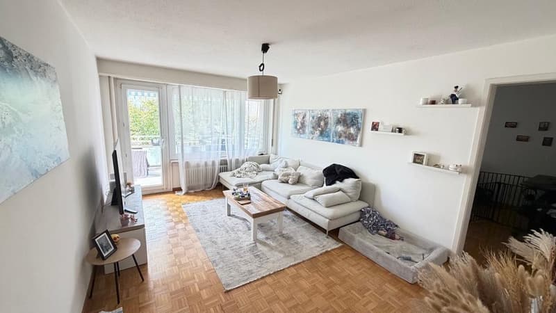Charming 3.5 room ground floor apartment (7)