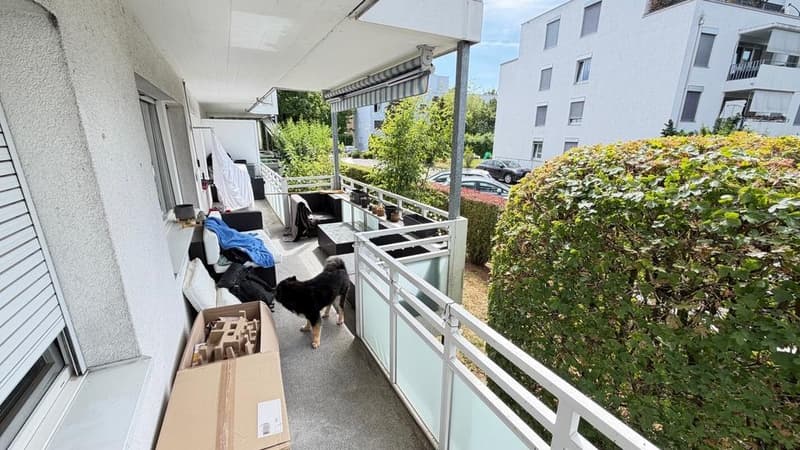Charming 3.5 room ground floor apartment (4)
