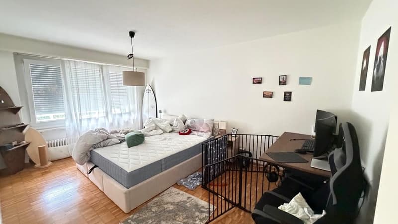 Charming 3.5 room ground floor apartment (5)
