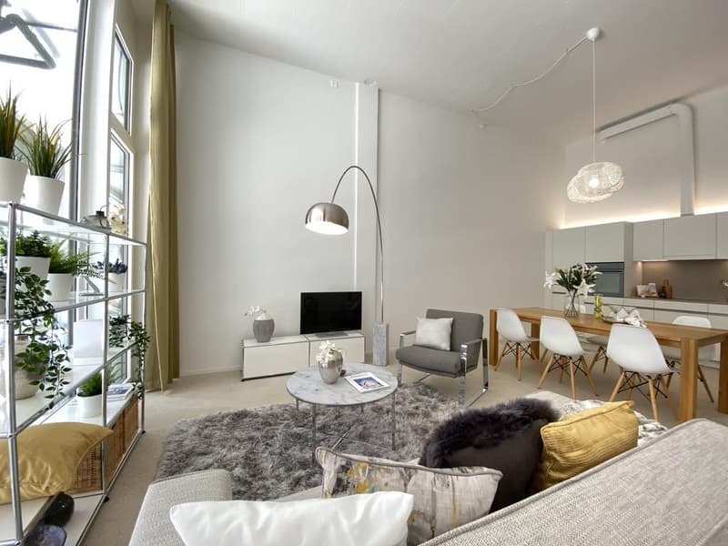 2.5 room apartment in Zurich (2)