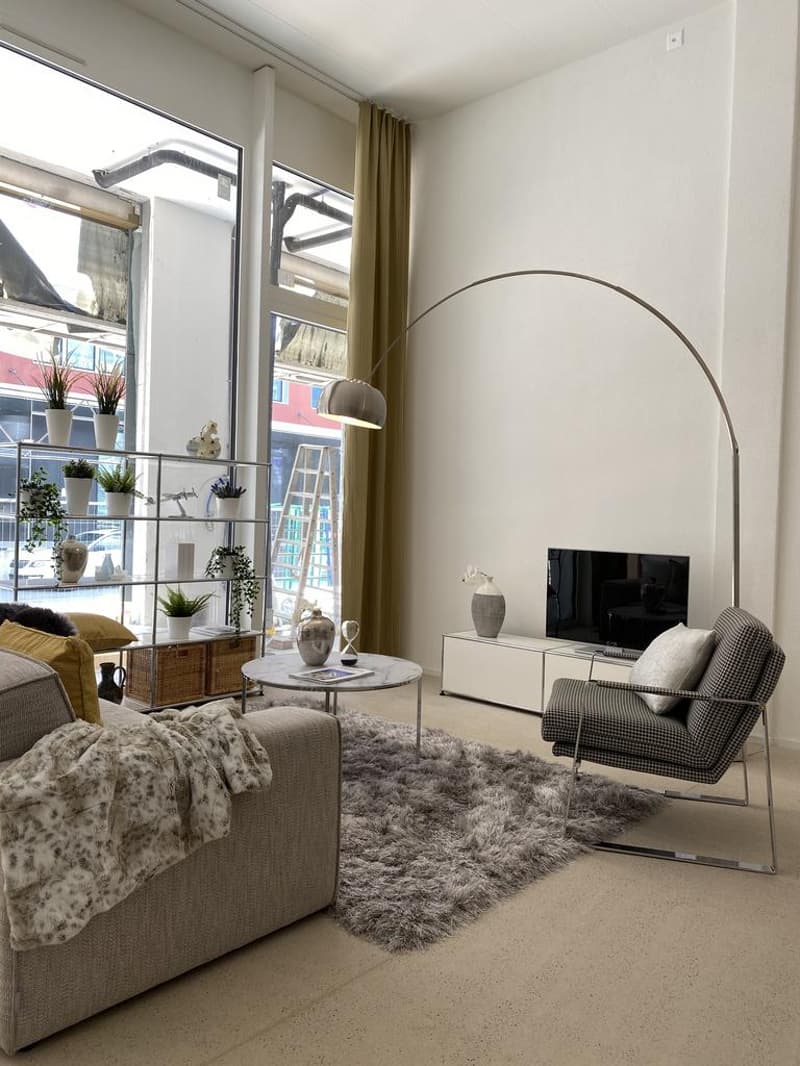 2.5 room apartment in Zurich (4)