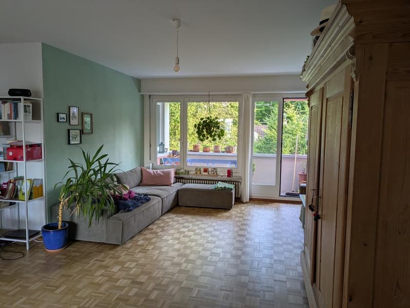 4.5 room apartment in the heart of Wetzikon (4)
