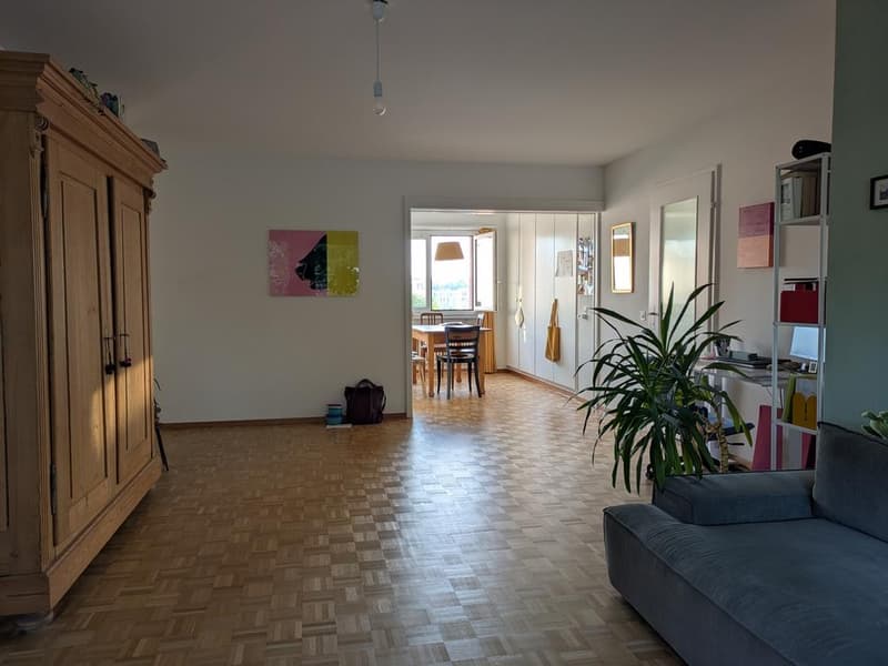 4.5 room apartment in the heart of Wetzikon (2)