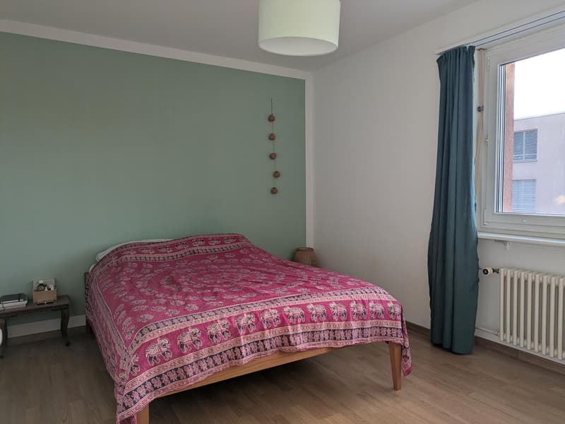 4.5 room apartment in the heart of Wetzikon (6)