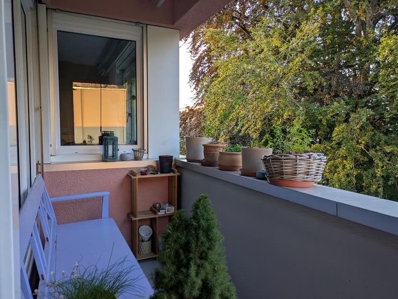 4.5 room apartment in the heart of Wetzikon (5)