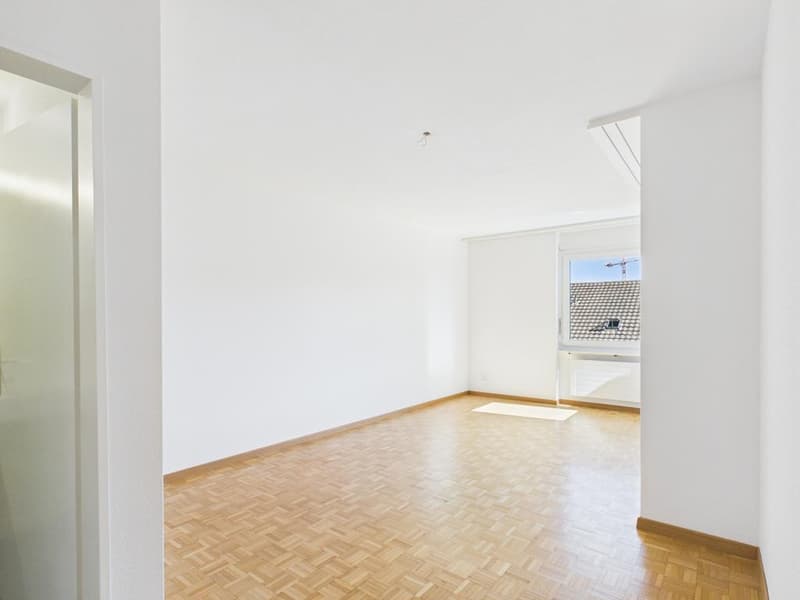 Attraktive 4.5-Zimmerwohnung im Herzen von Zürich Kreis 4 (7)