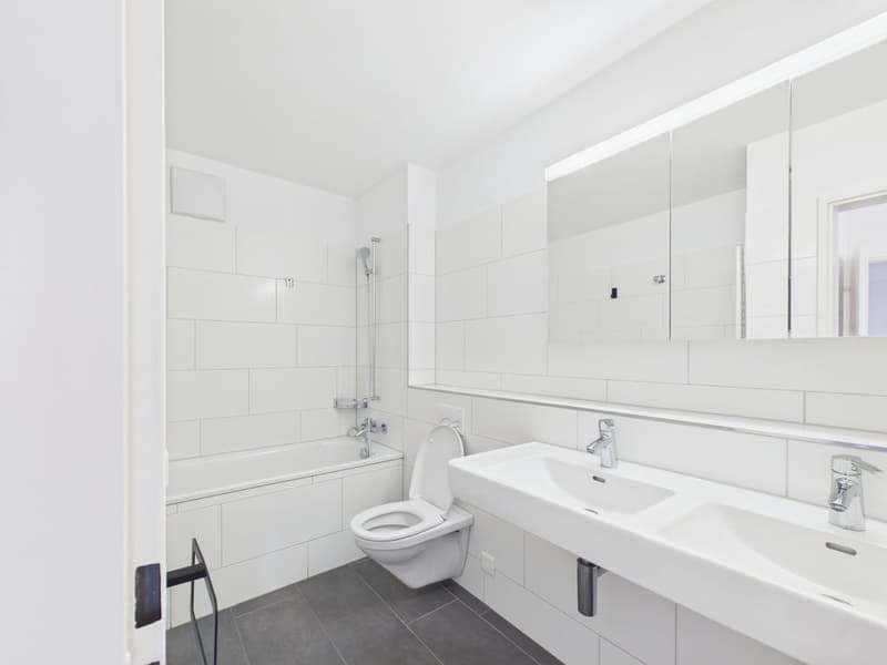 Attraktive 4.5-Zimmerwohnung im Herzen von Zürich Kreis 4 (4)