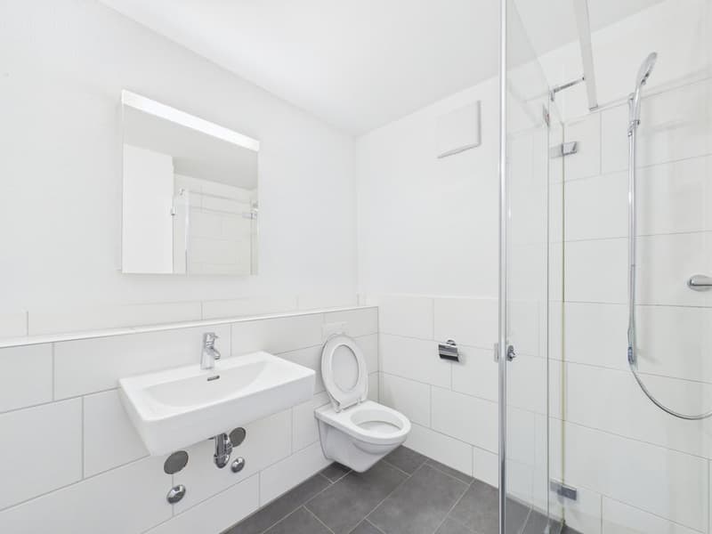 Attraktive 4.5-Zimmerwohnung im Herzen von Zürich Kreis 4 (5)
