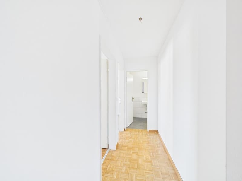 Attraktive 4.5-Zimmerwohnung im Herzen von Zürich Kreis 4 (10)