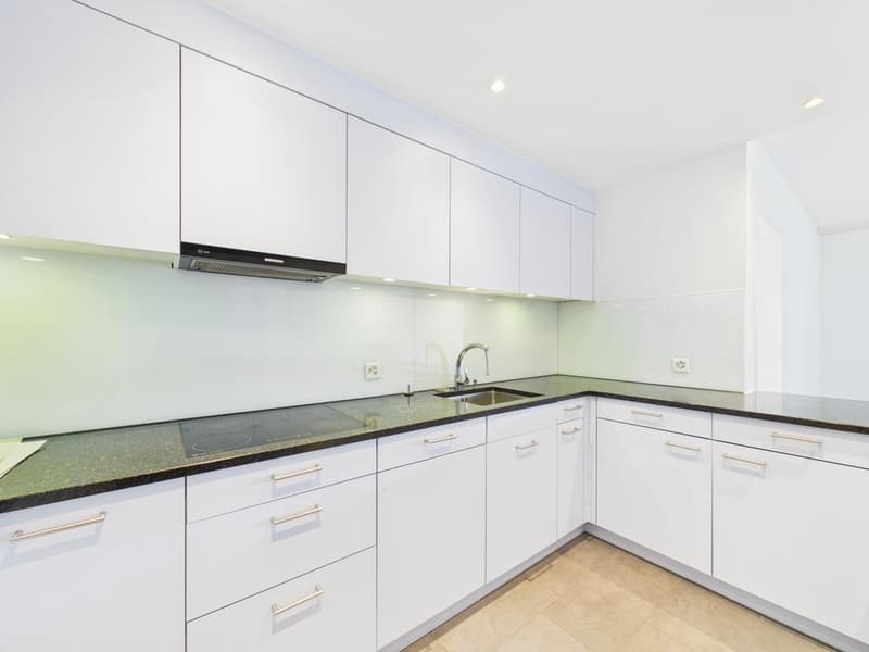 Attraktive 4.5-Zimmerwohnung im Herzen von Zürich Kreis 4 (2)