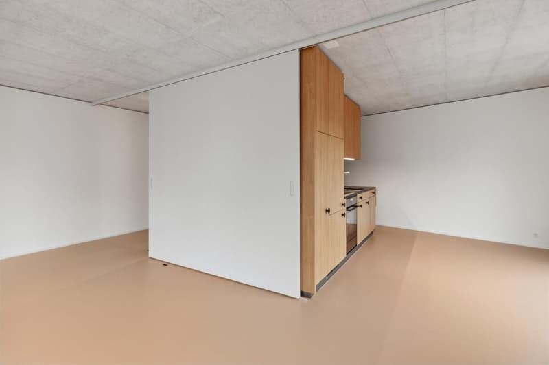 Vivre au Wydäckerring - Maison moderne au Uetliberg (4)